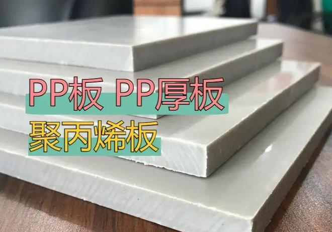 PP板是什么？为什么都在用PP板？(图1)