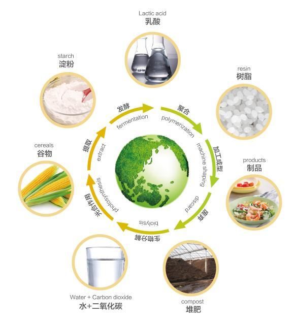 生物塑料相较传统塑料在环保方面的显著优势体现在哪些方面？(图3)