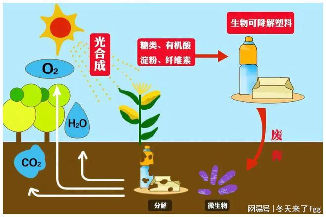 星空体育登录可生物降解塑料：从概念到现实的绿色跨越(图1)